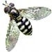 hoverfly avatar