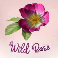 Wildrosenwelt