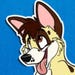 FurPopWorkshop