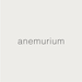 anemurium