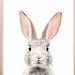 Buyer Avatar