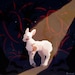 Buyer Avatar