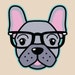 SmartyPantsDesignsUS