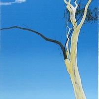DavidRosePrintmaker