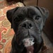 Buyer Avatar