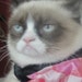 Buyer Avatar