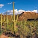 SonoranDesignz