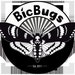 BicBugs