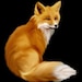 Kitsune