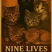 ninelivesalchemy