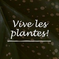 ViveLesPlantes