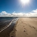 Sandy avatar