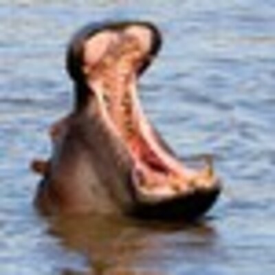 Matthew's profile picture