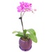 FarmFusion3D