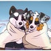 Buyer Avatar