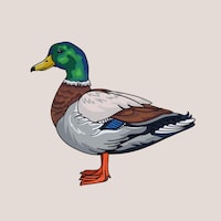 KanjaniCraft