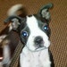 Buyer Avatar