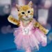 Kitty Pistek