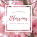 ThePowerofBlossoms