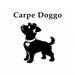 Carpe Doggo