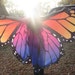 Flutterbyefeathers