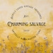 CharmingSalvage