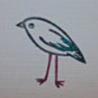 littlepigeoncardshop