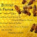 BlackBonnetAmishFarm