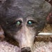 MoorelightMysticals avatar