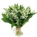 lemuguet