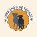 Lunaandbluevintage