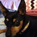 Buyer Avatar
