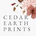 CedarEarthPrints