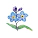 Buyer Avatar