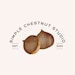 SimpleChestnutStudio