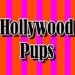 Hollywood Pups