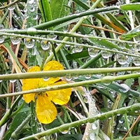 WasserUndGras