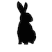 Dark Rabbit Relics