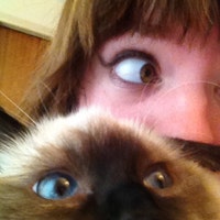 LittleRagdollCat