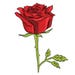 RoseCustomDesignsS