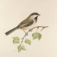 AntiquePrintsHome