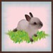 littlebunnyshop avatar