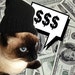 Thrift Cat avatar
