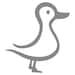 Gray Duck