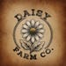 Daisy Farm Co