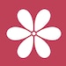 ArtifloraStudio