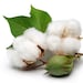 CottonlyYours