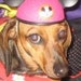 Buyer Avatar
