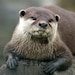 jennkehlers avatar
