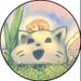 Ammy